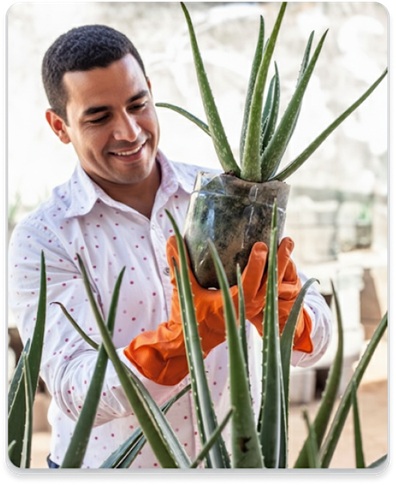 Become a Pluggerzz Gardener